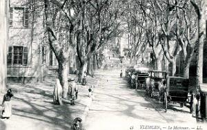 Tlemcen 03
